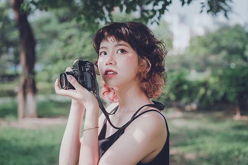 女子, 相機, 攝影師, 工具, 設備, 樹, 葉子