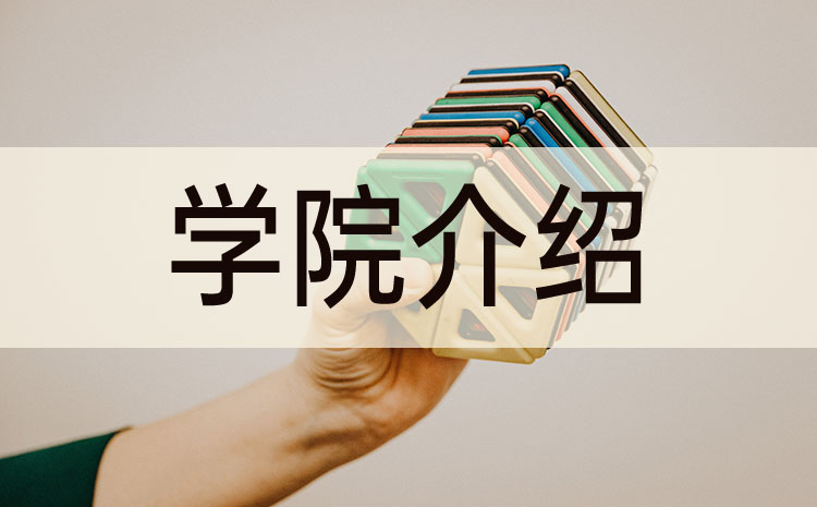 廣西職業(yè)師范學(xué)院2022年單招招生計劃
