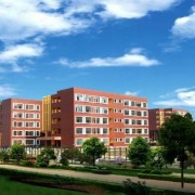 http://m.trustlankalog.com/uyszsyxx/