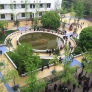 http://m.trustlankalog.com/uzjltzx/