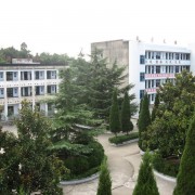 http://m.trustlankalog.com/ustqlzygjzx/