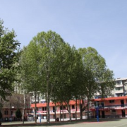 http://m.trustlankalog.com/ubjfhzx/