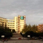 http://m.trustlankalog.com/unbdbzx/
