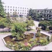 http://m.trustlankalog.com/ucddesbzx/