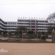 http://m.trustlankalog.com/ujysczx/