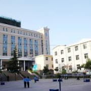 http://m.trustlankalog.com/ufxsspzx/