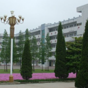 http://m.trustlankalog.com/uwyzx/