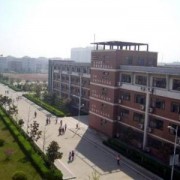 http://m.trustlankalog.com/utpzzx/