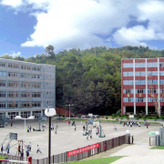 http://m.trustlankalog.com/uynsfdxdefszx/